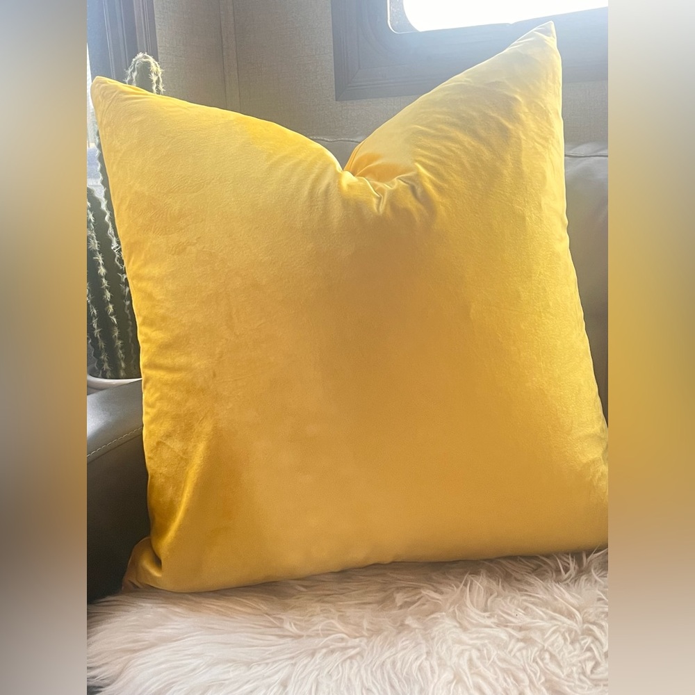 Set of 2 Euro velvet pillow covers